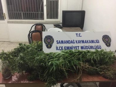 Samandağ'da Uyuşturucu Operasyonu
