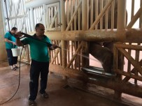 5 Tonluk Fillere Bayram Bakımı