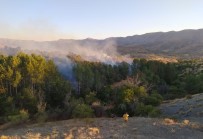 Elazığ'da Orman Yangını, 30 Dönüm Zarar Gördü Haberi