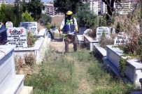 Mezarlıklarda Bayram Temizliği