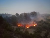 Soma'da Orman Yangını Açıklaması 1 Uçak, 5 Helikopter Havadan Müdahale Ediyor