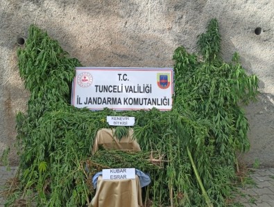 Tunceli'de Uyuşturucu İle Mücadele