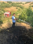 Bingöl'de Orman Yangını Haberi