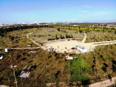 Dilovası Millet Bahçesi İhaleye Çıkıyor