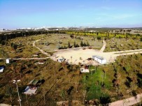 Dilovası Millet Bahçesi İhaleye Çıkıyor