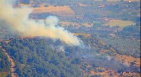 Foça'da Çıkan Orman Yangını Kısa Sürede Kontrol Altına Alındı Haberi