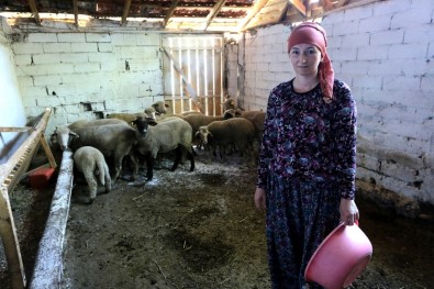 İki Üniversite Bitirip 4 Dil Konuşan Rus Kadın Bursa'da Hayvancılık Yapıyor
