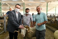 Başkan Kanar Hayvan Pazarını Ziyaret Etti