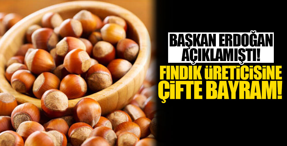 Fındık hasadı erken başladı