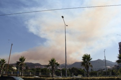 İzmir Balçova'daki Orman Yangını Devam Ediyor