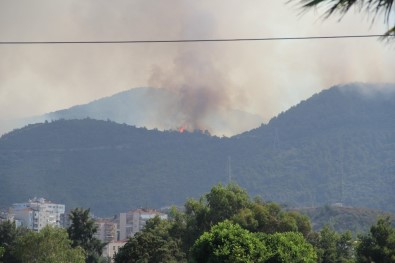 İzmir Balçova'daki Orman Yangını Kontrol Altında