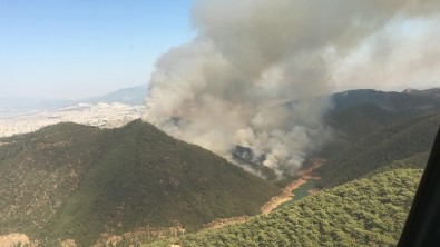 İzmir'de Büyük Orman Yangını