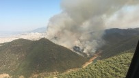 İzmir'de Büyük Orman Yangını Haberi