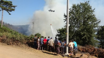 Köylüler Yangın Söndürme Çalışmalarını Üzüntüyle İzliyor