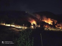 Malatya'da Dağlık Alanda Çıkan Örtü Yangınına Müdahale Ediliyor Haberi