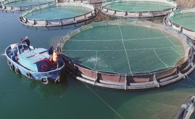 Muğla'dan Haziran Ayında En Fazla İhracat Yunanistan'a Yapıldı