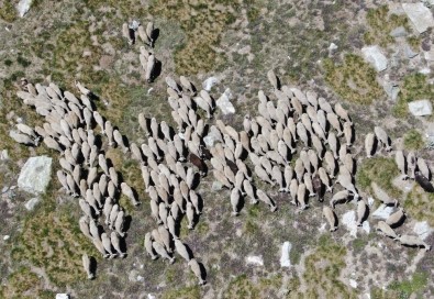 2543 Metreden Cumhurbaşkanı'na Bayram Selamı