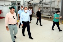 Başkan Seçer, Şehit Aileleri İçin Kurban Kesti