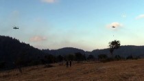 Çanakkale'deki Orman Yangınına Havadan Müdahale Yeniden Başladı