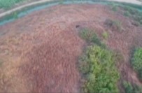 Kaybolan Kurbanlık Keçiyi Drone İle Buldular