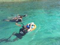 Kuşadası Körfezi'nde Can Pazarı