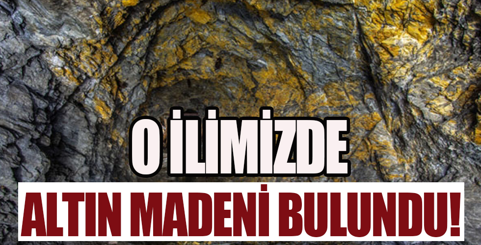 Bir ilimizde altın madeni bulundu!