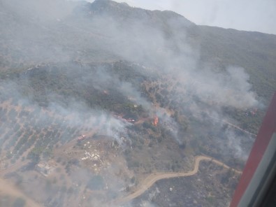 Manavgat'ta Orman Yangını