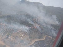 Manavgat'ta Orman Yangını