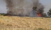 Hatay'da Çiftlik Yangını