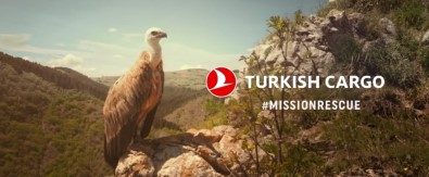 THY Çevre Duyarlılığı Sayesinde Binlerce Ağacı Kurtardı