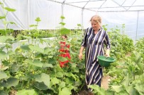 Ahıska Türkleri Anavatanlarında Yeniden Hayata Tutunuyor