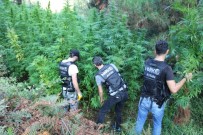 Aydın'da Uyuşturucu Operasyonu, Narkotik Ekipleri Zehirletmedi Haberi