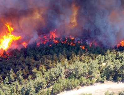 Bakan Pakdemirli'den Gelibolu'daki orman yangınına ilişkin açıklama