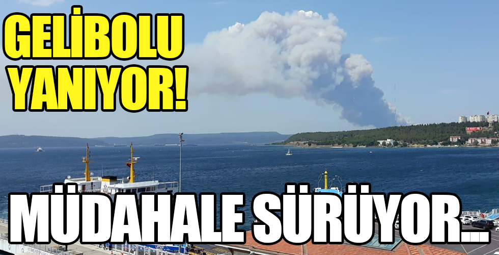 Çanakkale'de büyük yangın! Dumanlar her yeri kapladı, müdahale sürüyor...