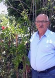 Çevre Araştırmacısı Yaşar Açıklaması 'Tortum Şelalesi Ve Çevresinde 25 Odunsu Tür Yaşıyor' Haberi