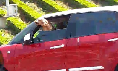 Kadın Sürücünün Davranışı Diğer Sürücüleri Çileden Çıkardı