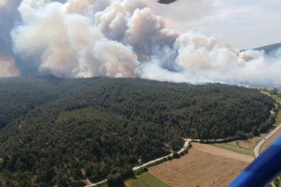 Bakan Pakdemirli'den Gelibolu'daki orman yangınıyla ilgili açıklama