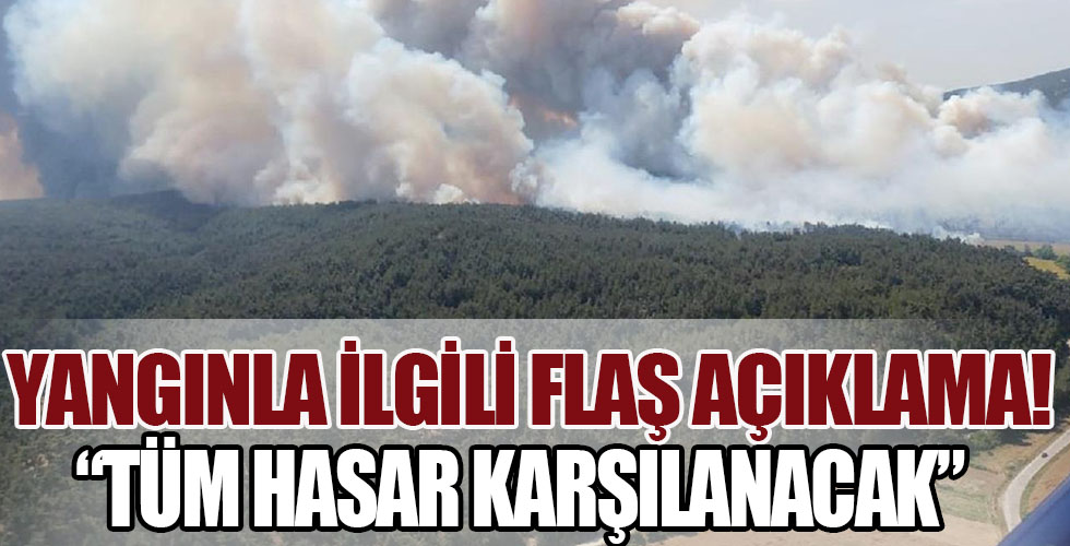Bakan Pakdemirli'den Gelibolu'daki orman yangınıyla ilgili açıklama