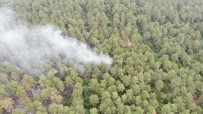 İstanbul'da 15 Dekar Orman Yandı Haberi