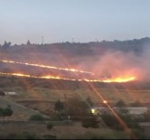 İzmir'de Ormanlık Alanda Yangın