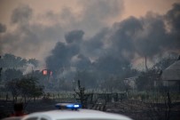 Ukrayna'daki Orman Yangınında Ölü Sayısı 6'Ya Yükseldi