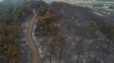 Yangının Boyutu Gün Ağırınca Ortaya Çıktı