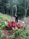 Artvin'in Borçka İlçesinde Uçuruma Düşen Orman Muhafaza Memuru Yaralandı Haberi