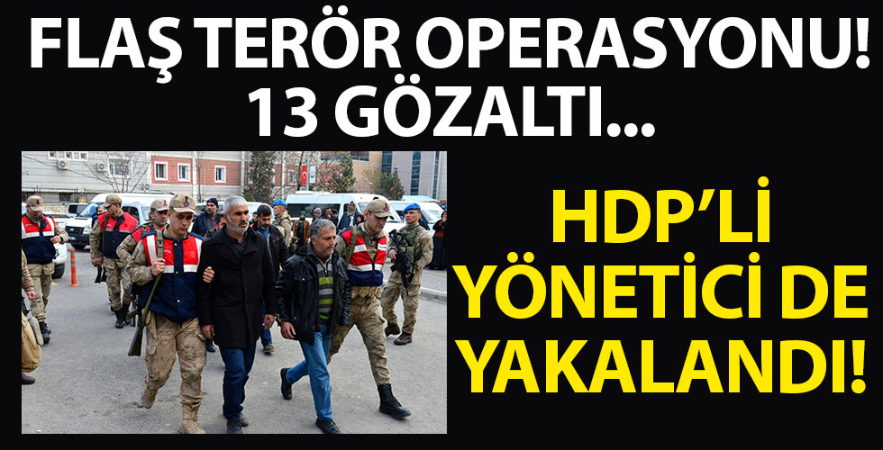 HDP ilçe başkanı gözaltına alındı