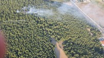 İzmir'de Korkutan Orman Yangını Kontrol Altında Haberi