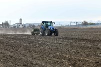 Macar Fiğ Tohumu Desteği İçin Başvuru Rekoru