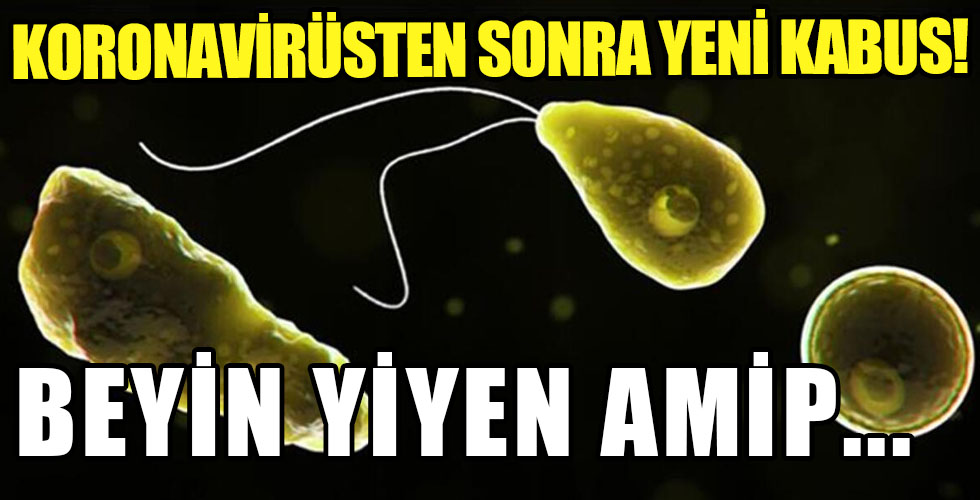 Prof. Dr. Mehmet Ceyhan açıkladı! 'Amip, Türkiye'de de var'