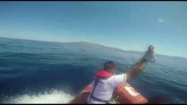 Ege Denizi'nde Botları Batan 27 Sığınmacı Kurtarıldı