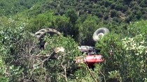 Hatay'da Traktör Devrildi Açıklaması 1 Ölü, 1 Yaralı