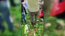 Manisa'da Traktör Devrildi Açıklaması 1 Ölü, 1 Yaralı